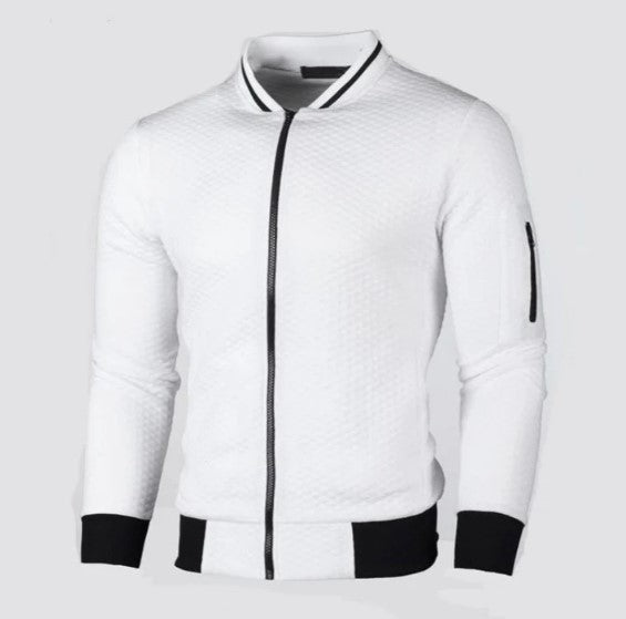 Men’s Straight Cut Sweatshirt Stand-Up Collar Zip